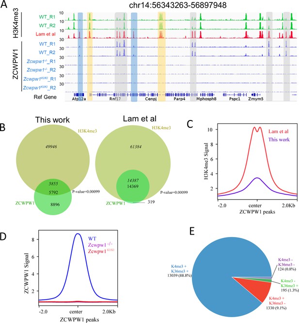 The Histone Modification Reader ZCWPW1 Links Histone Methylation To ...