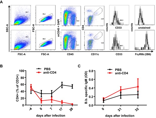 Figures and data in Human Fcγ-receptor IIb modulates pathogen-specific ...