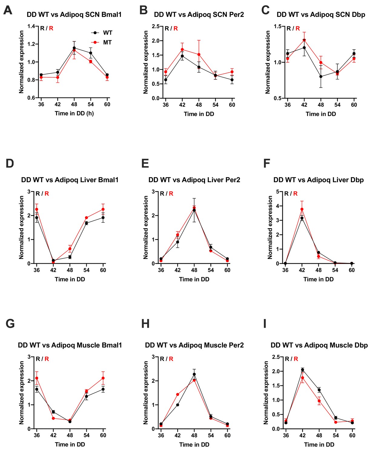 Figures And Data In An Adipokine Feedback Regulating Diurnal Food Intake Rhythms In Mice Elife 9088