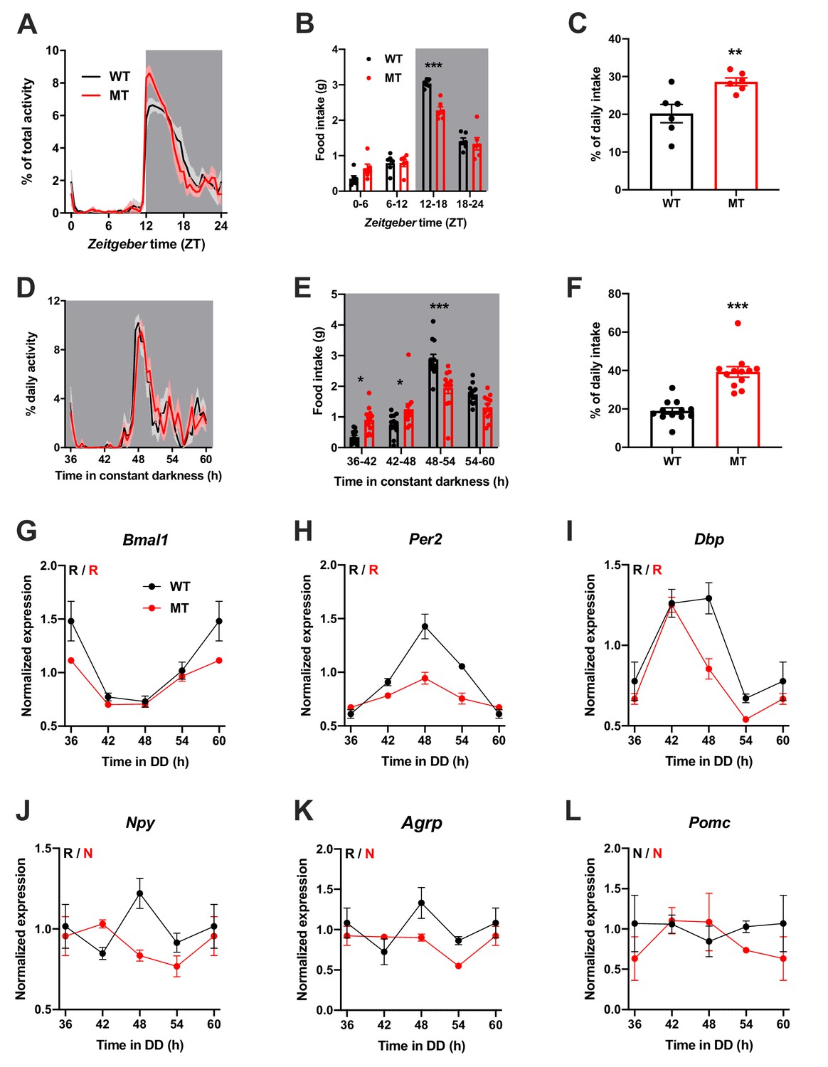 An adipokine feedback regulating diurnal food intake rhythms in mice ...