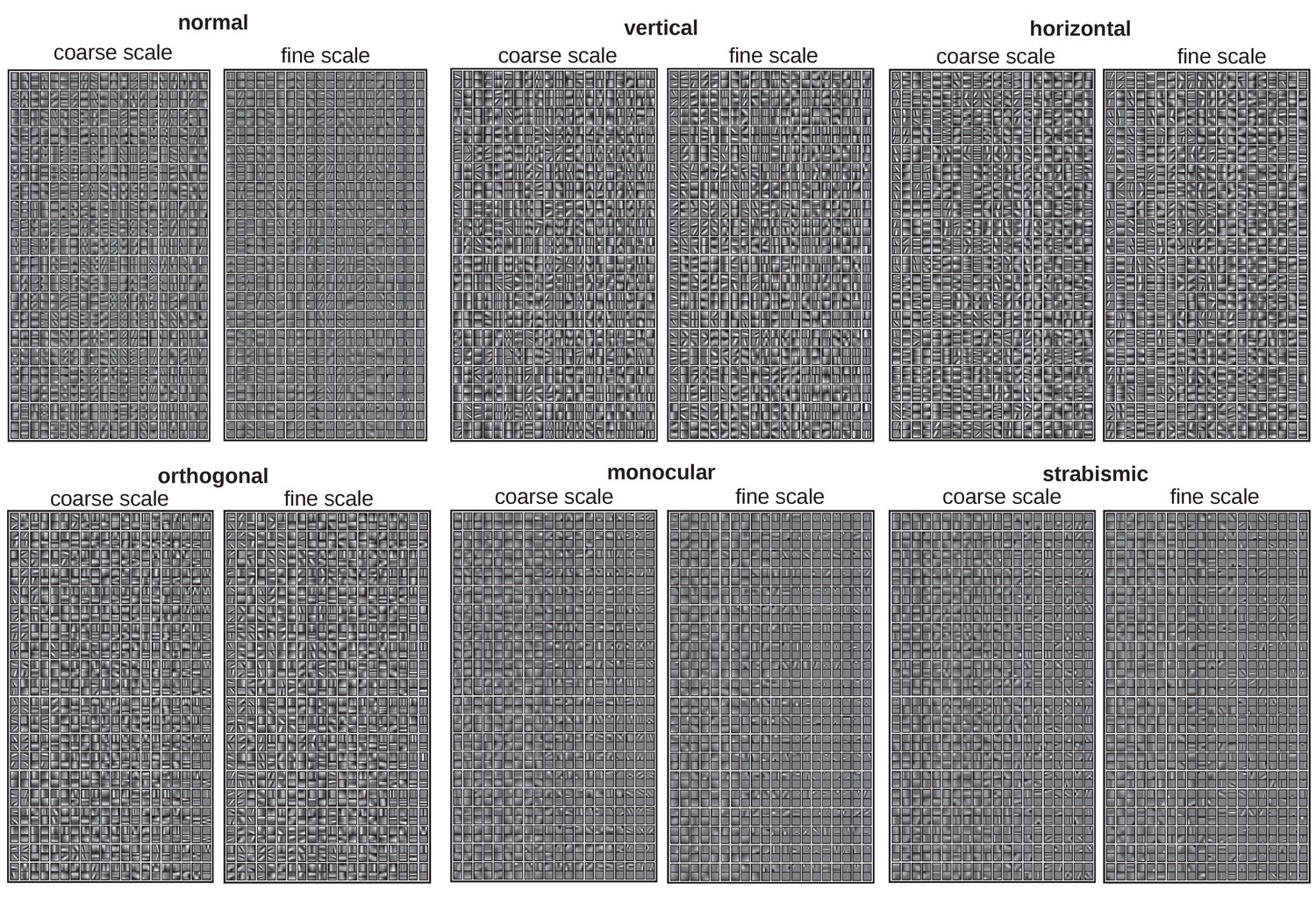 The Development Of Active Binocular Vision Under Normal And Alternate Rearing Conditions Elife