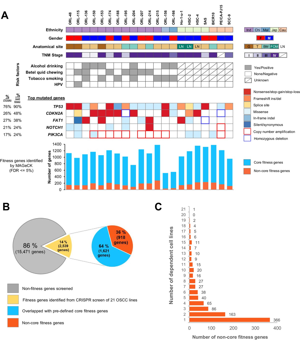 Genome Wide Crispr Screens Of Oral Squamous Cell Carcinoma Reveal Fitness Genes In The Hippo Pathway Elife