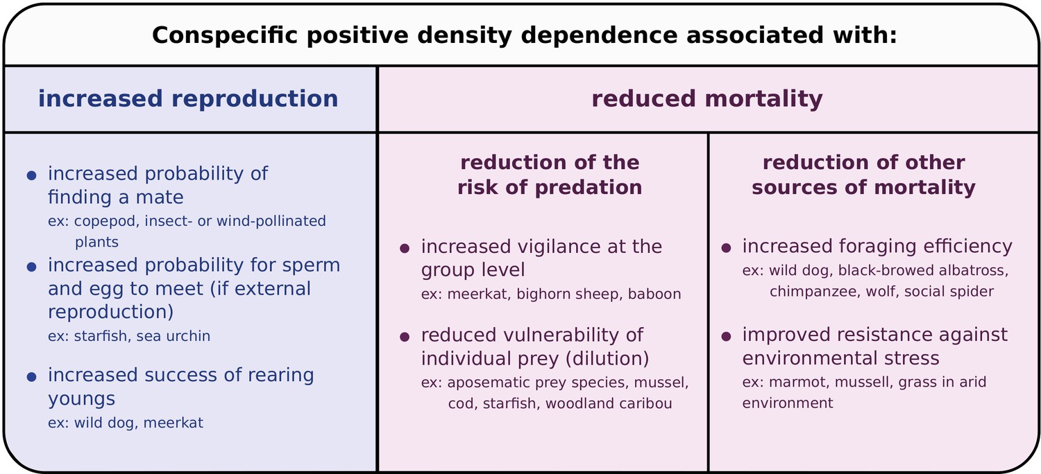 positive-density-dependence-acting-on-mortality-can-help-maintain