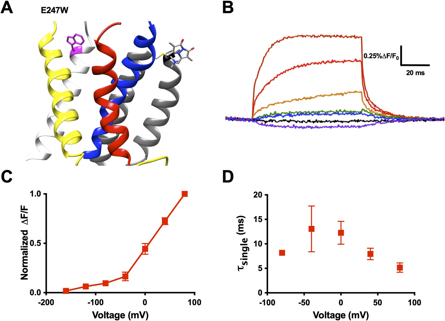 Tracking The Movement Of Discrete Gating Charges In A Voltage-gated ...