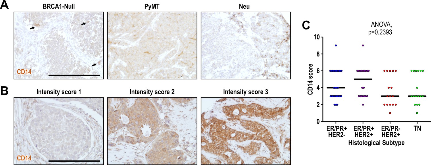 Figures and data in Single-cell RNA-sequencing reveals distinct