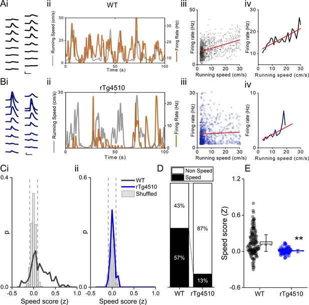 Figures and data in Impaired speed encoding and grid cell periodicity ...