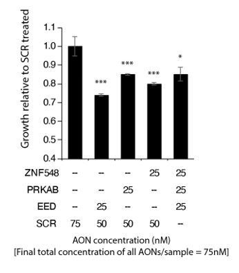 HNRNPM controls circRNA biogenesis and splicing fidelity to 