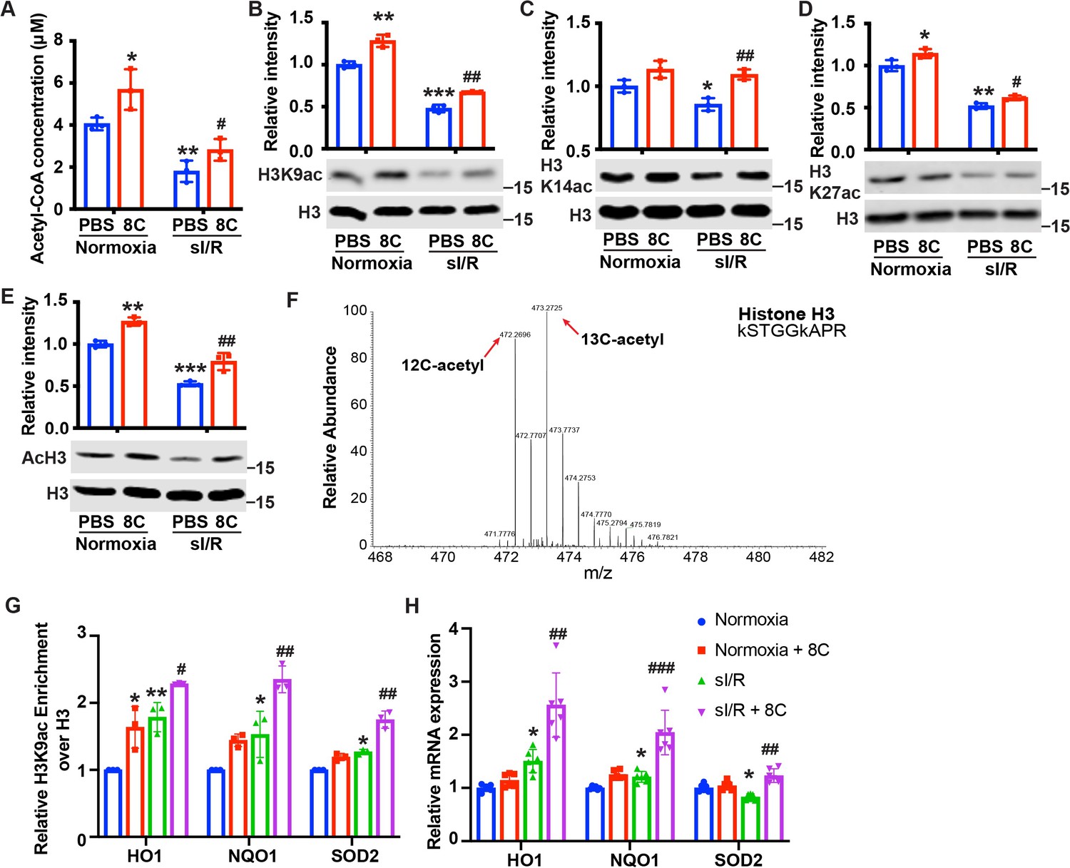 Figures And Data In Acetyl CoA Production By Specific Metabolites