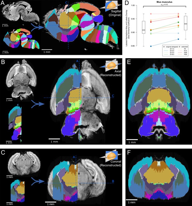 Constructing And Optimizing 3D Atlases From 2D Data With Application To ...