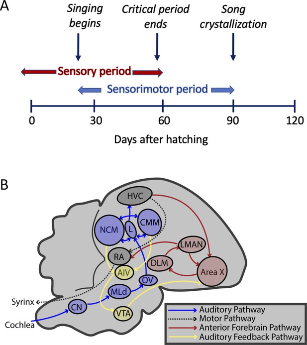 Figures And Data In The Natural History Of Model Organisms ...