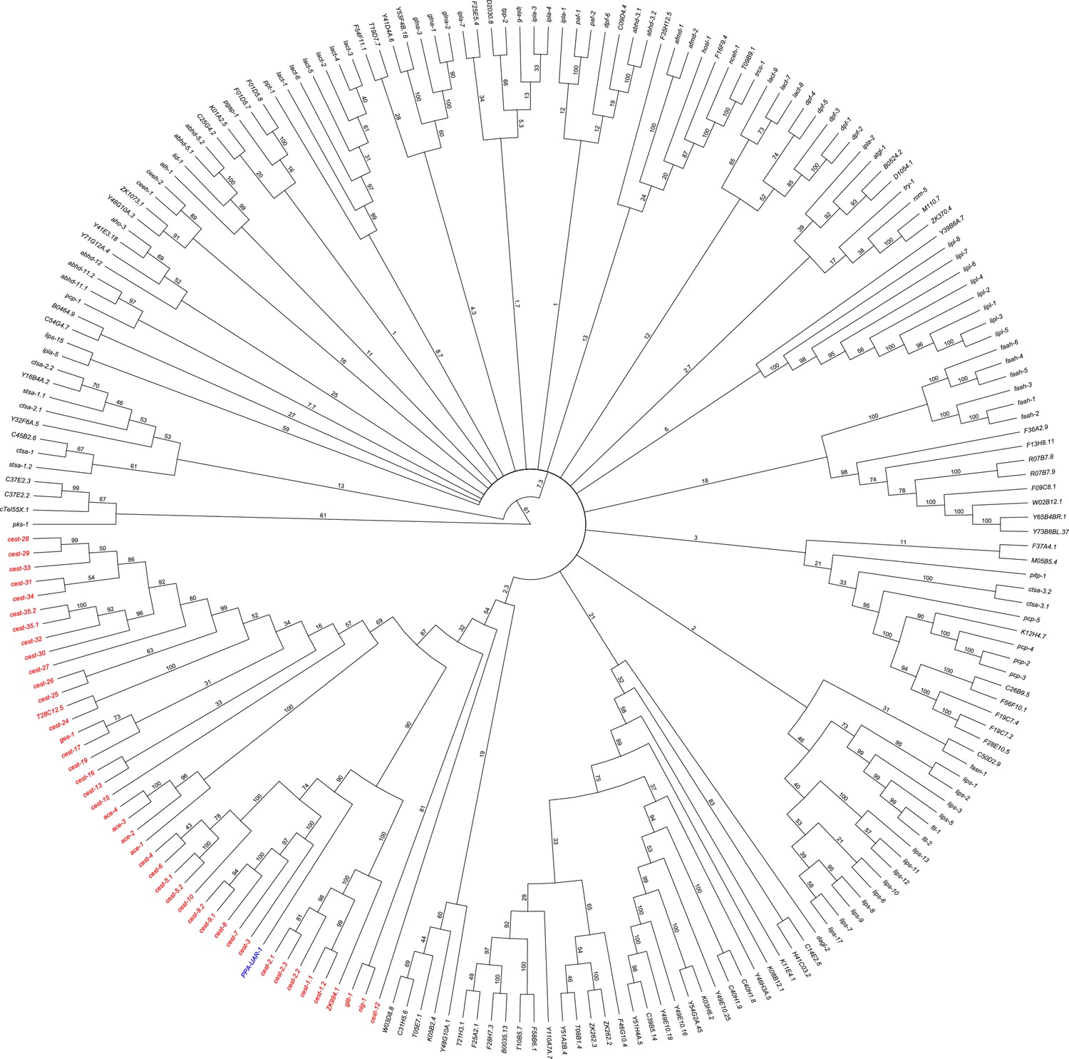 Figures and data in Modular metabolite assembly in Caenorhabditis ...