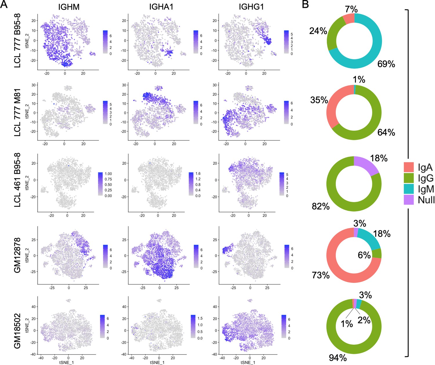 Single Cell Rna Seq Reveals Transcriptomic Heterogeneity Mediated By