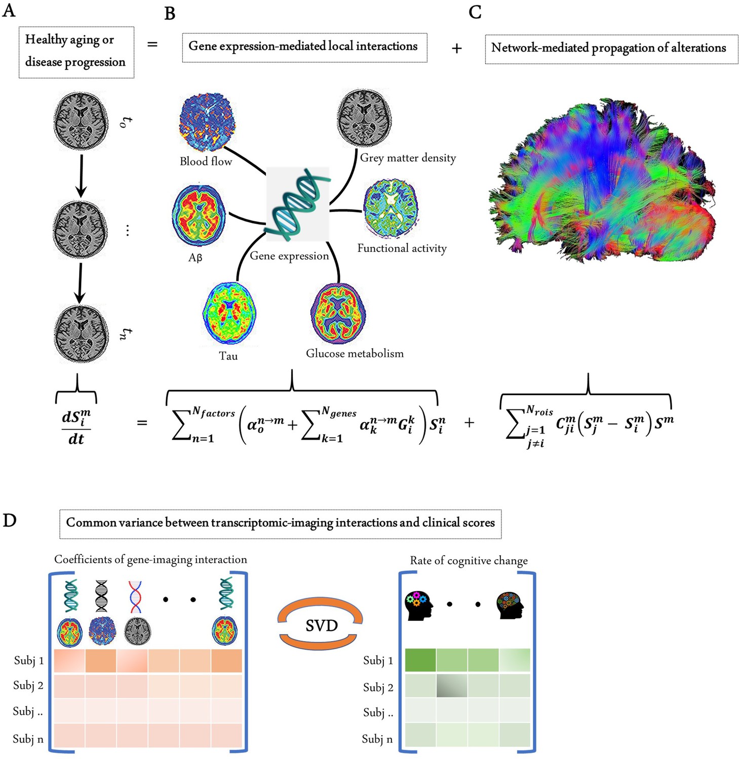 Integrated Transcriptomic And Neuroimaging Brain Model Decodes ...