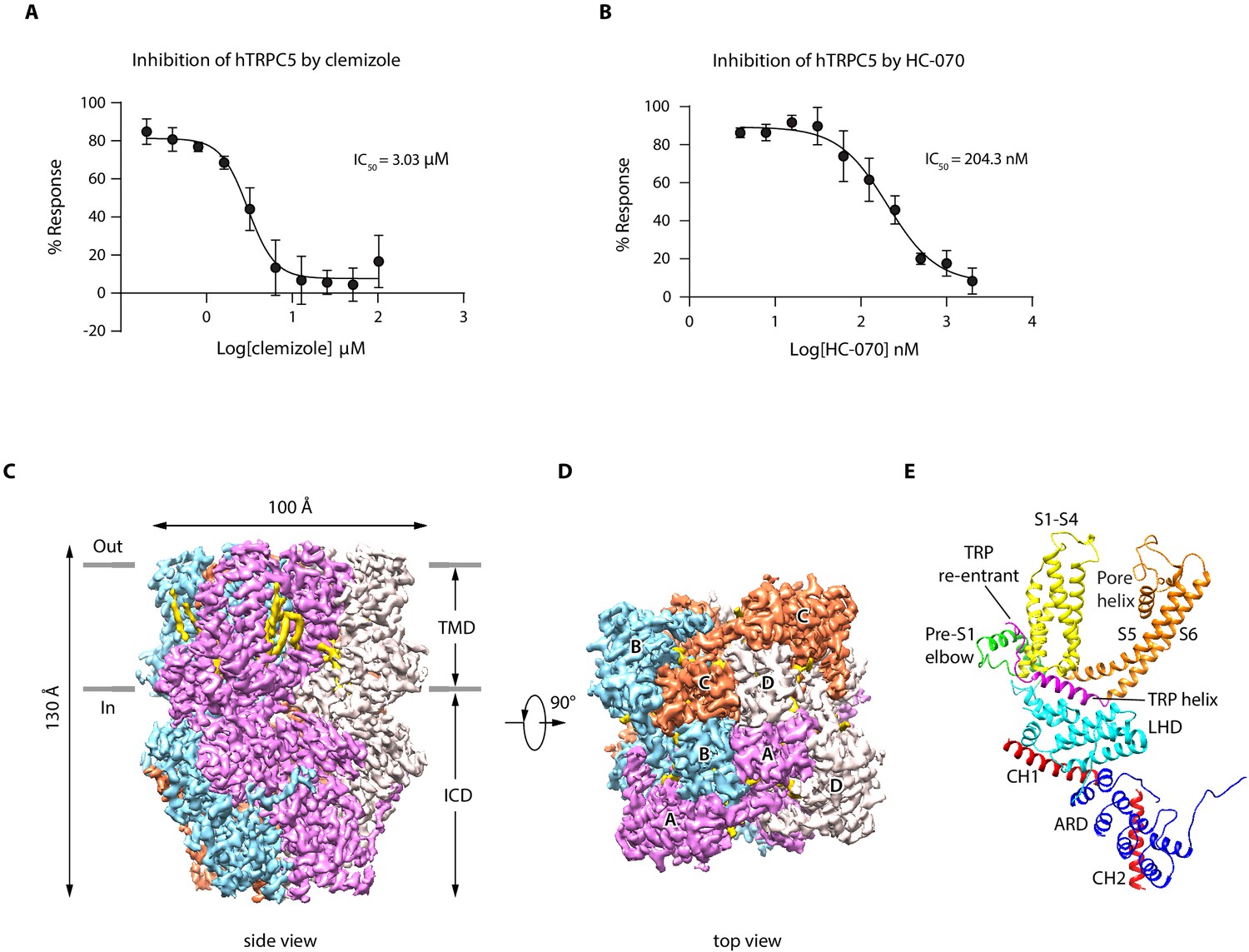 Structural Basis For Human Trpc5 Channel Inhibition By Two Distinct Inhibitors Elife