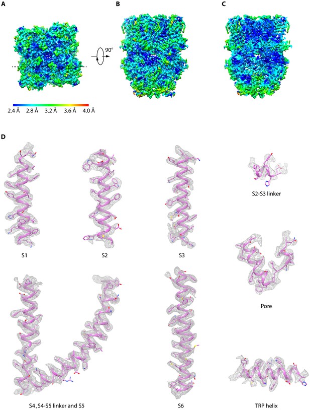 Figures And Data In Structural Basis For Human TRPC5 Channel Inhibition ...