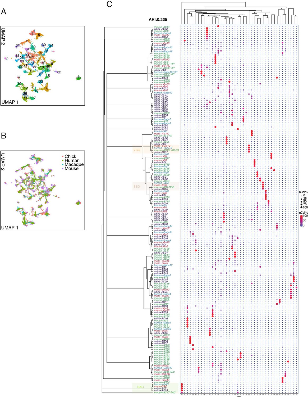 A Cell Atlas Of The Chick Retina Based On Single Cell Transcriptomics Elife