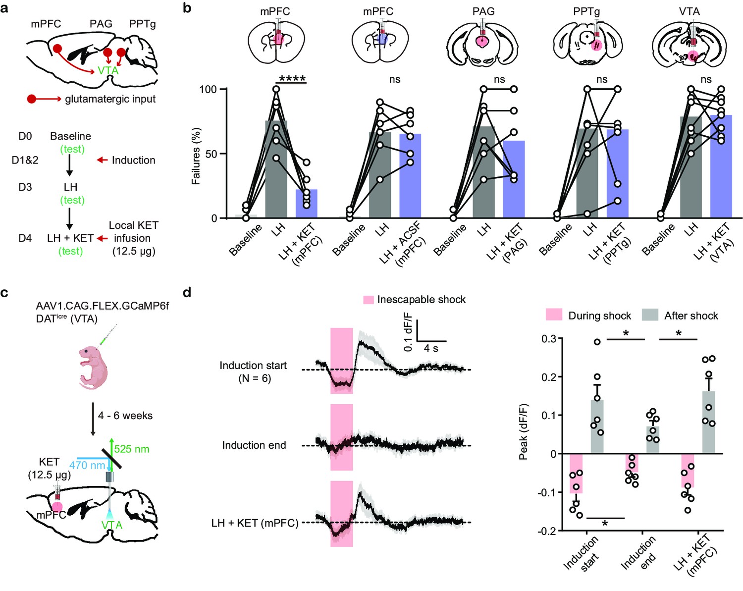 Figures and data in Attenuated dopamine signaling after aversive ...