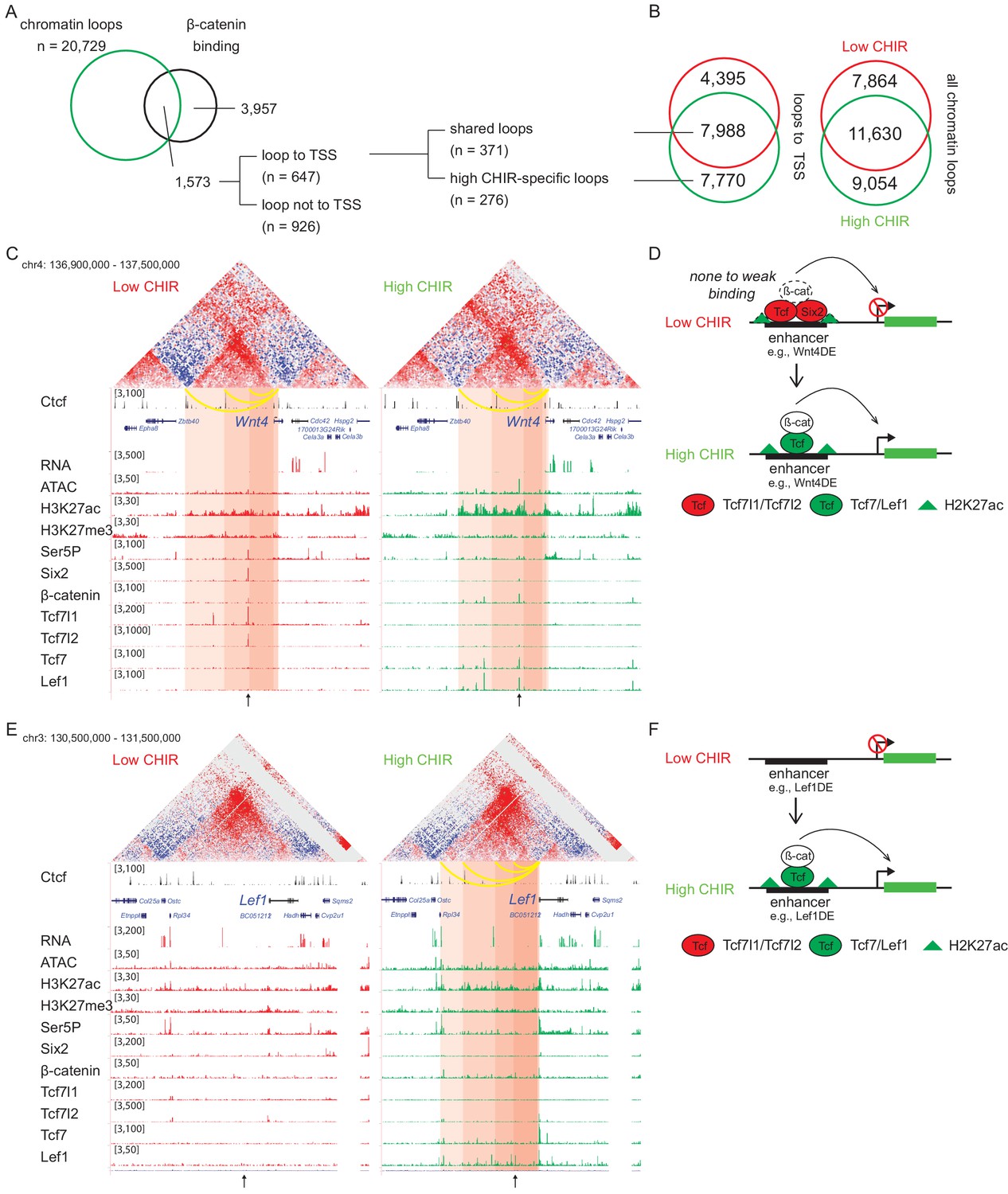 A B Catenin Driven Switch In Tcf Lef Transcription Factor Binding To Dna Target Sites Promotes Commitment Of Mammalian Nephron Progenitor Cells Elife