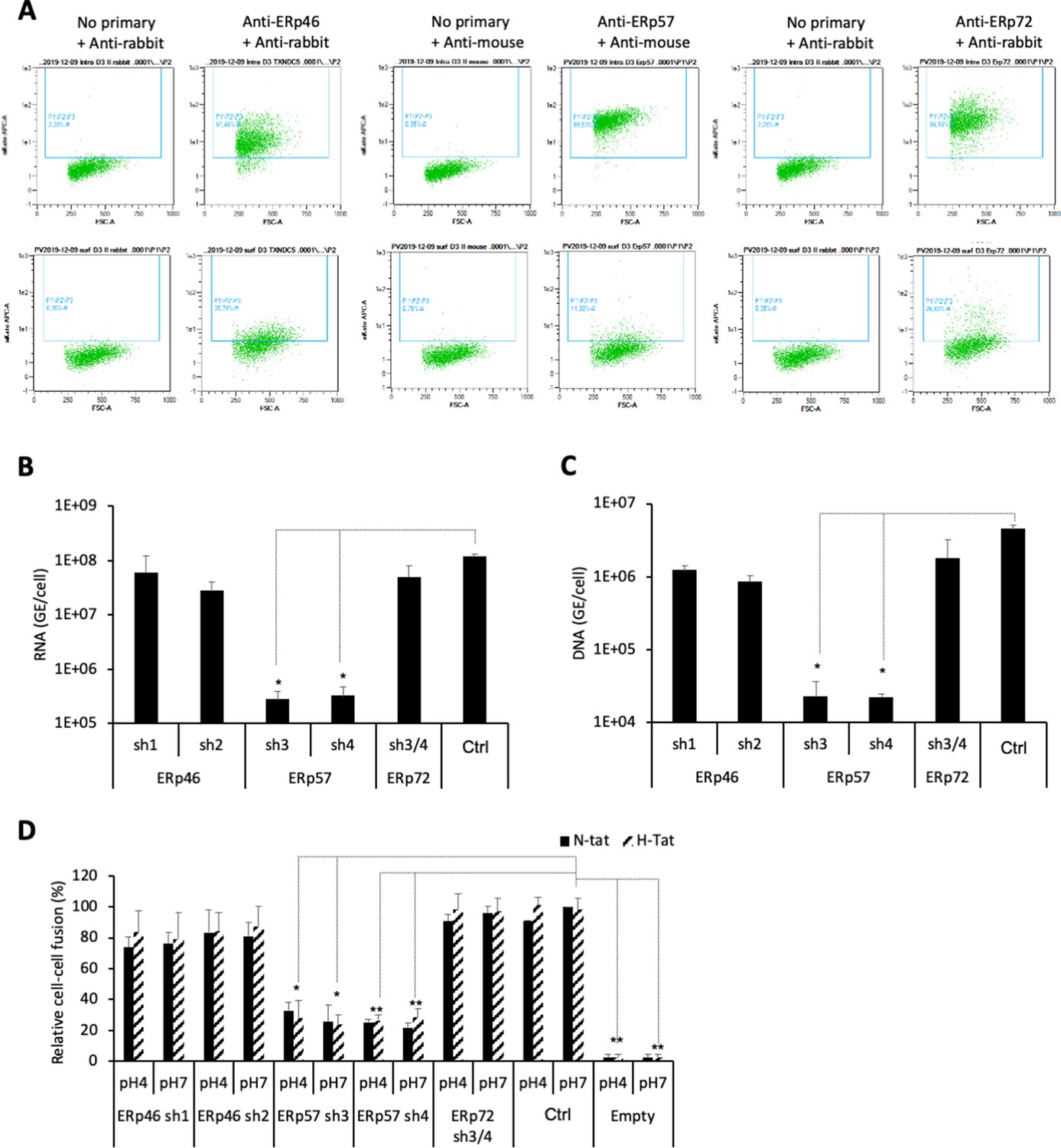 Figures And Data In A Fusion Peptide In PreS1 And The Human Protein ...