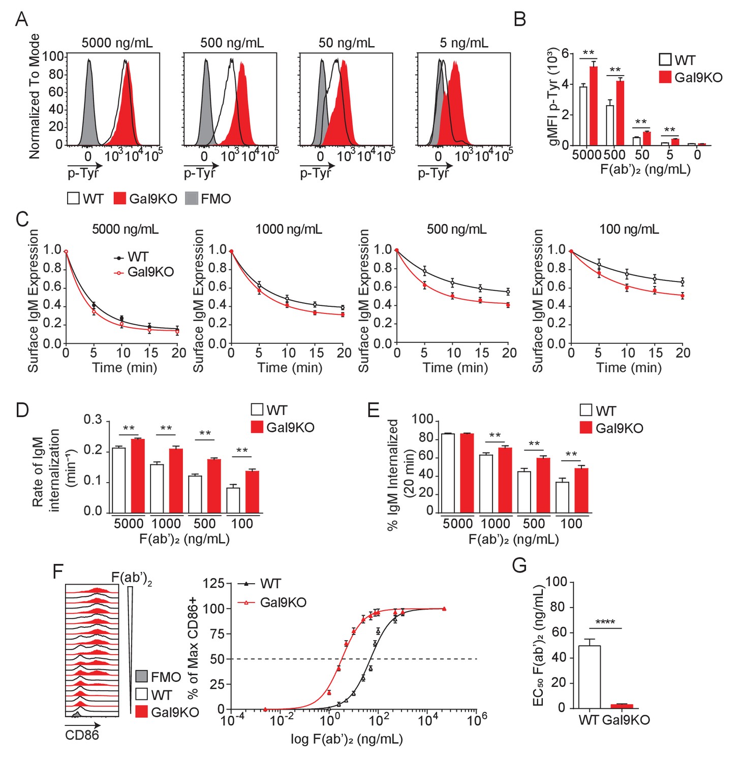 Figures And Data In Galectin-9 Regulates The Threshold Of B Cell ...