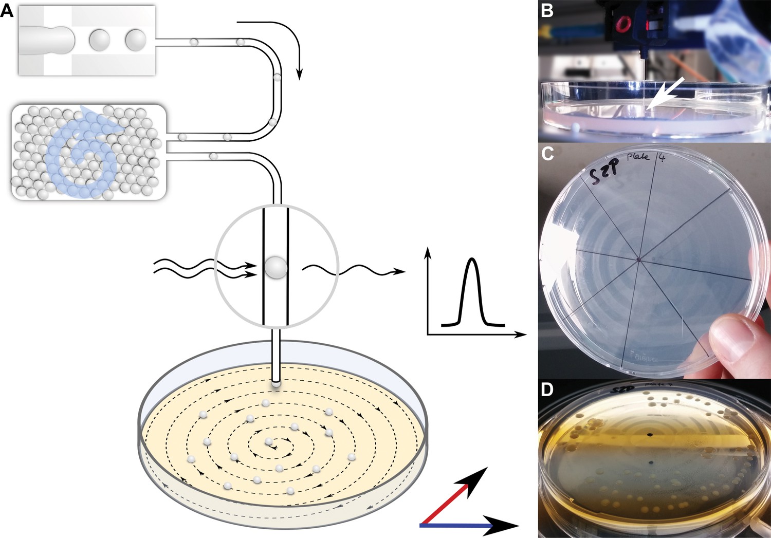 Figures And Data In Highly Parallelized Droplet Cultivation And ...