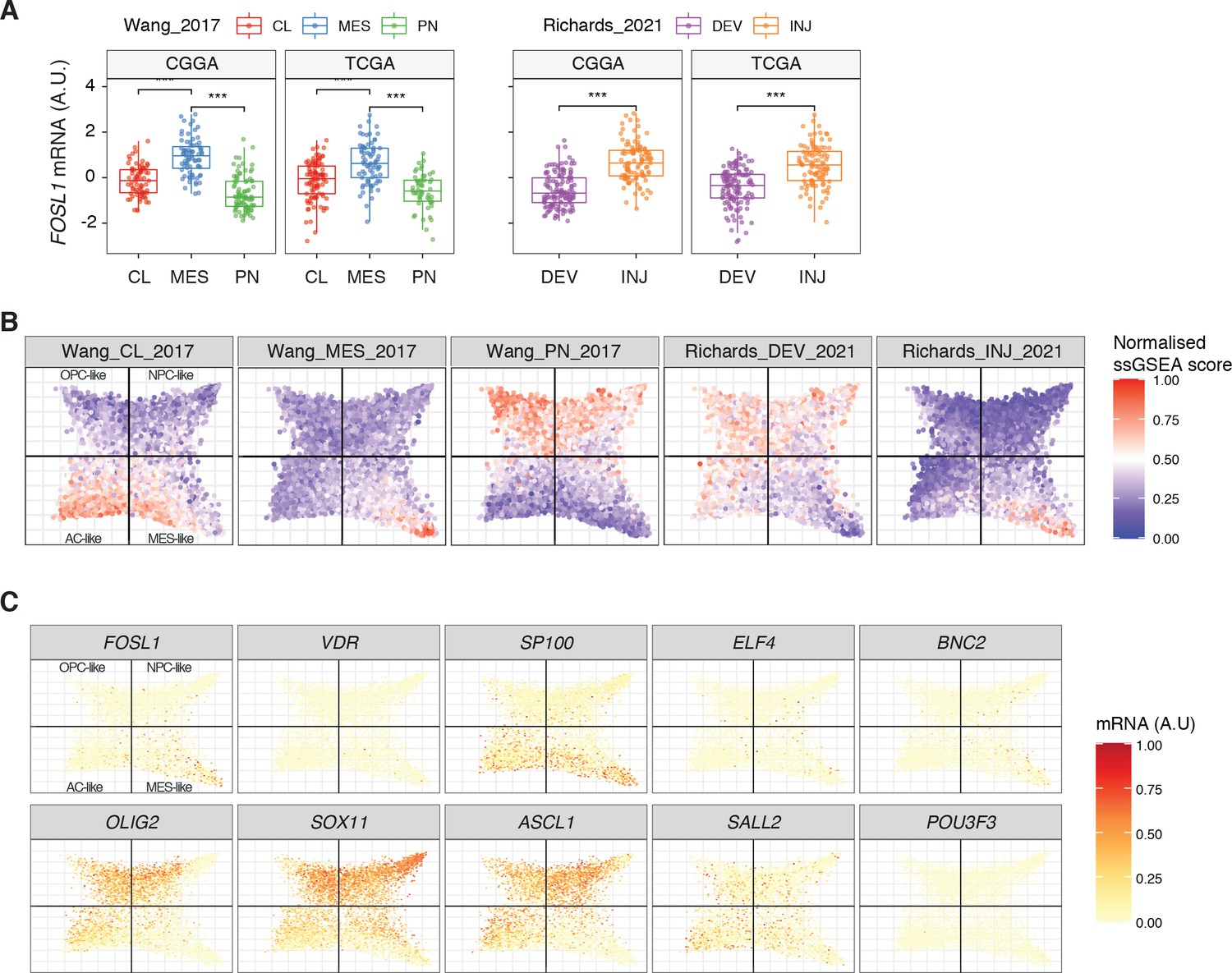 Figures And Data In Nf Regulates Mesenchymal Glioblastoma Plasticity