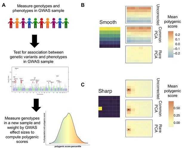 Polygenic Scores: How Well Can We Separate Genetics From The ...