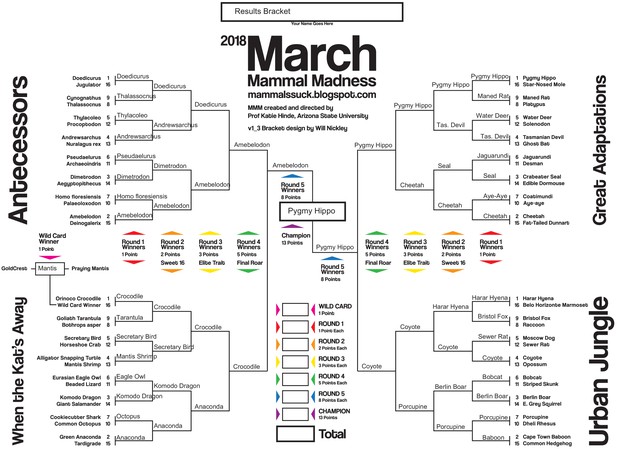 Education And Outreach March Mammal Madness And The Power Of Narrative In Science Outreach Elife