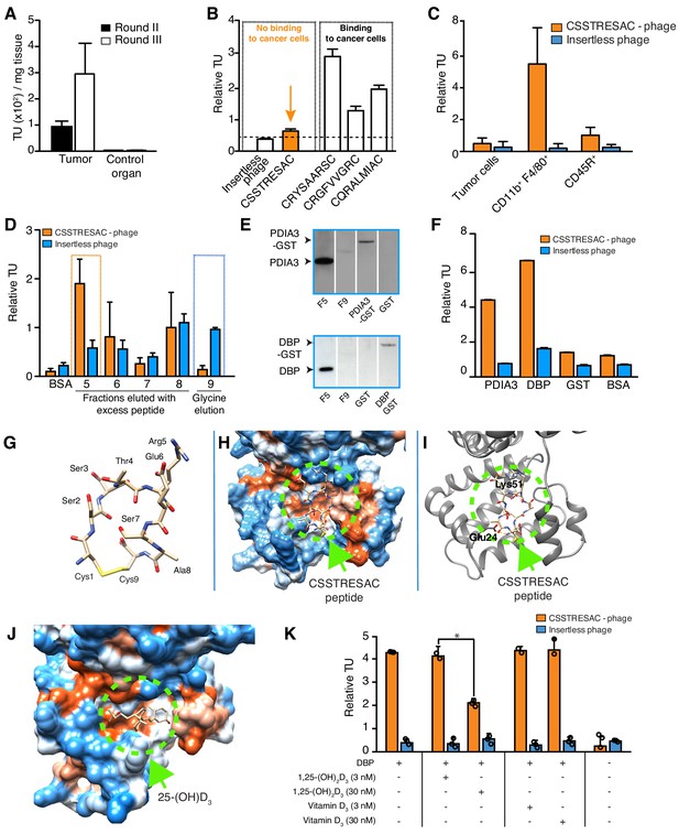 Targeting A Cell Surface Vitamin D Receptor On Tumor Associated Macrophages In Triple Negative Breast Cancer Elife