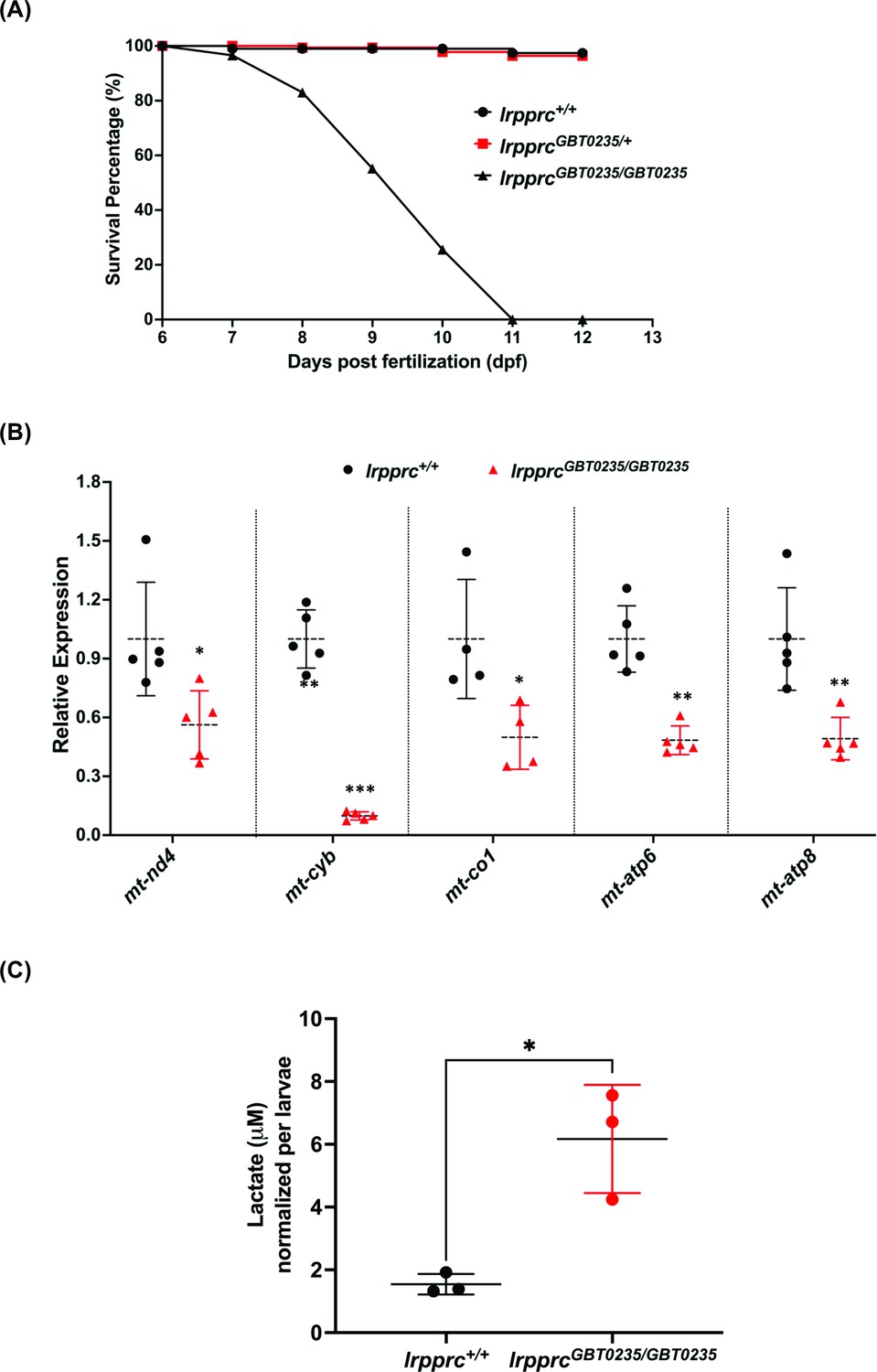 Genetic therapy in a mitochondrial disease model suggests a