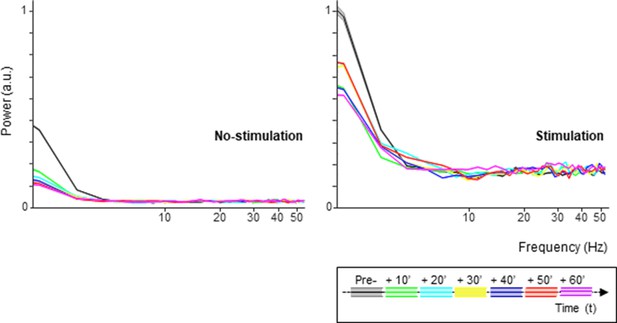 Neural Effects Of Continuous Theta Burst Stimulation In Macaque