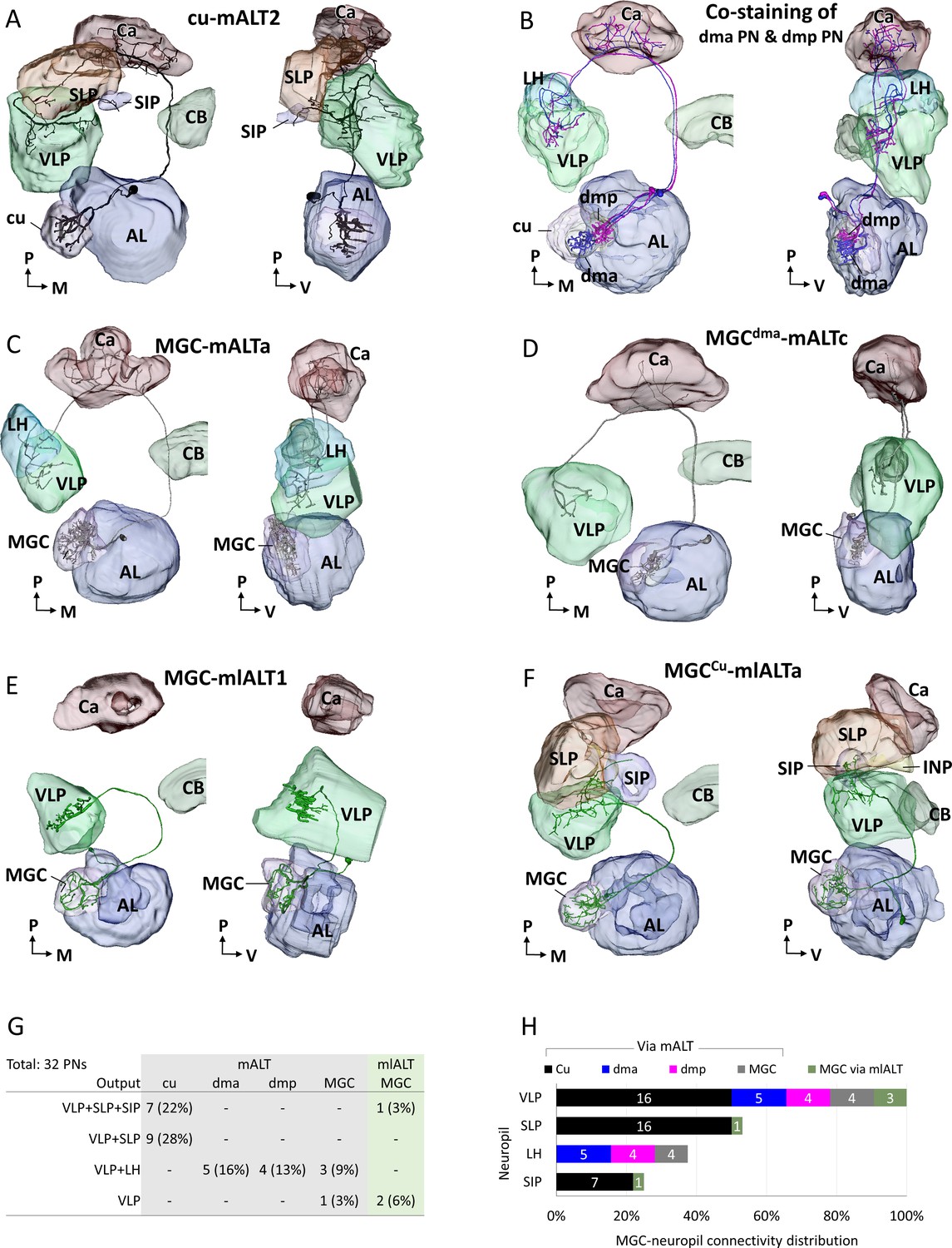 Distinct Protocerebral Neuropils Associated With Attractive And Aversive Female Produced Odorants In The Male Moth Brain Elife