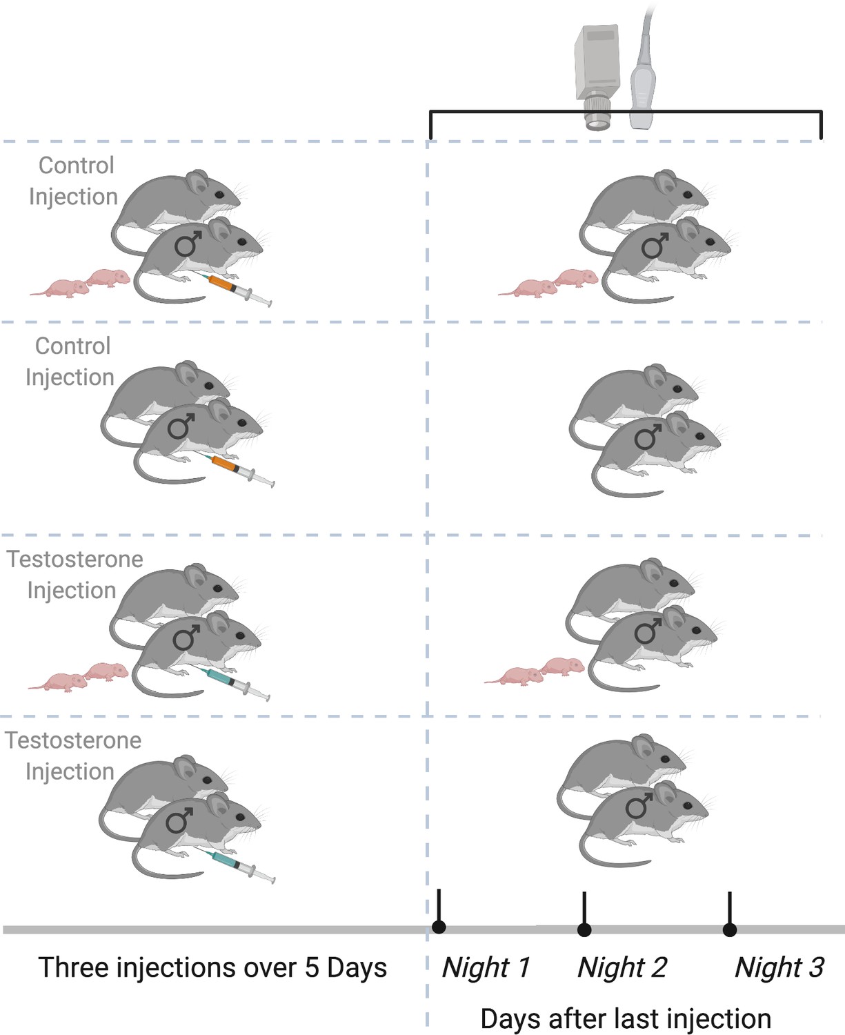 Testosterone pulses paired with a location induce a place preference to ...