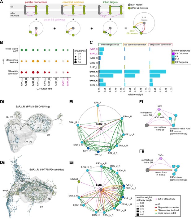 A Connectome Of The Drosophila Central Complex Reveals Network Motifs 