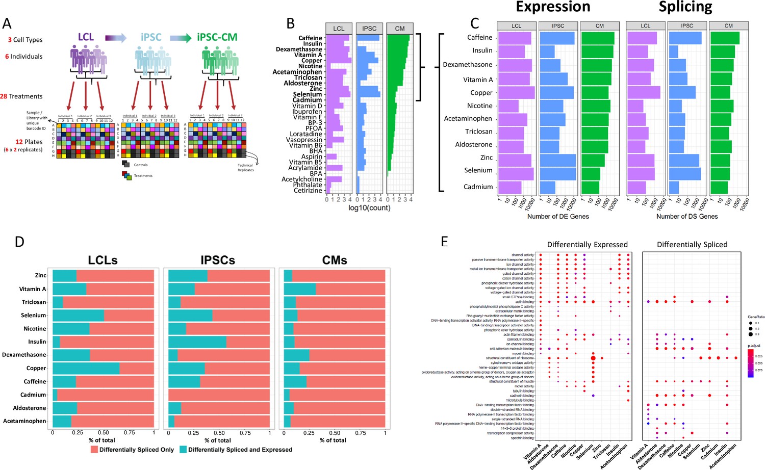 undulate pas Og hold Functional dynamic genetic effects on gene regulation are specific to  particular cell types and environmental conditions | eLife