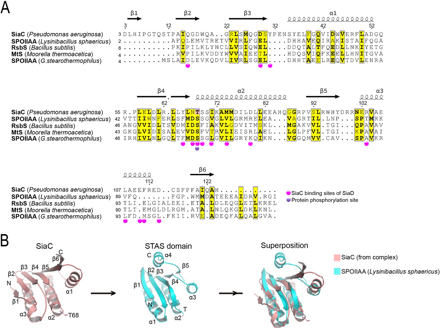 Figures And Data In Structural Basis For Diguanylate Cyclase Activation 