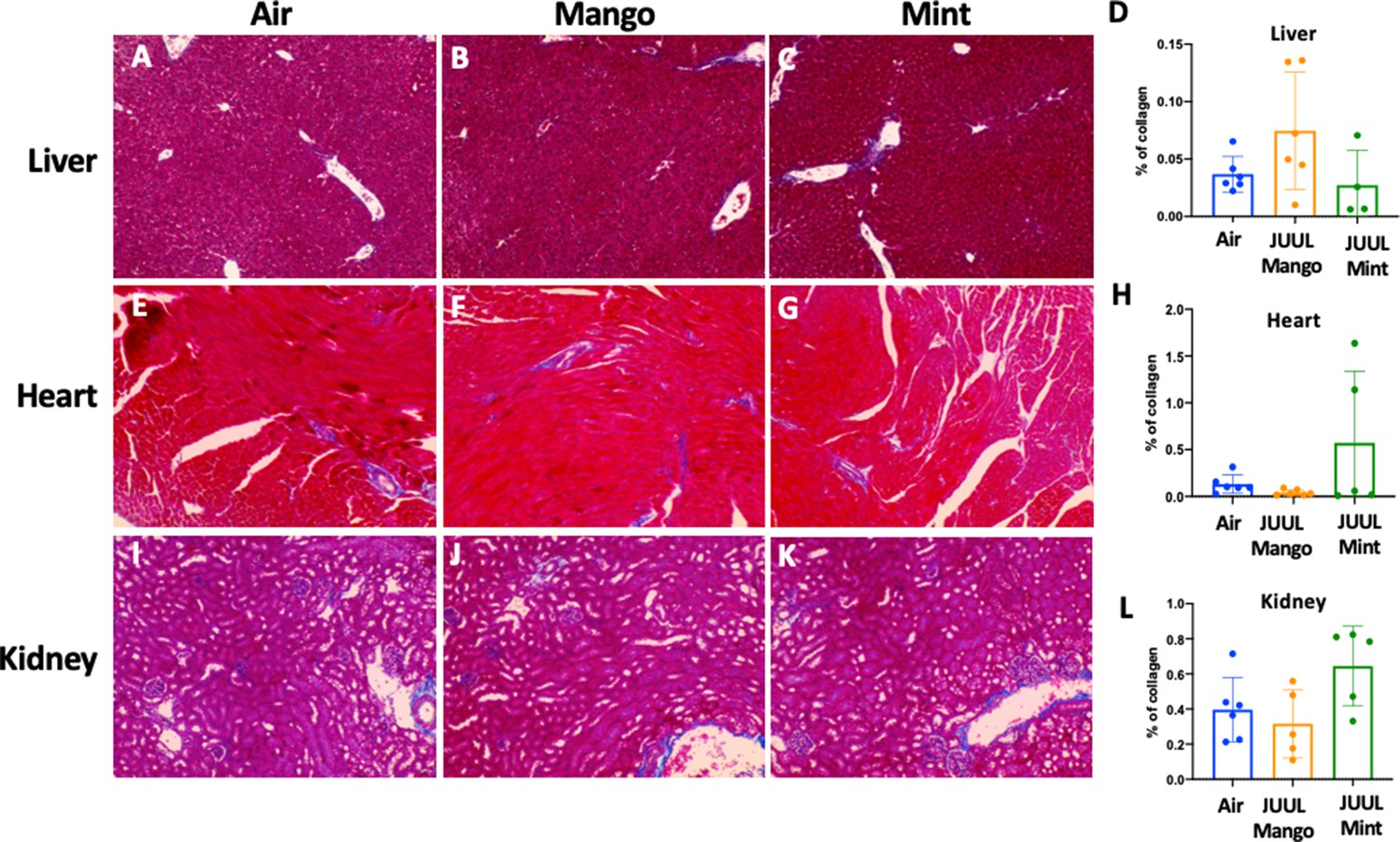 Effects of mango and mint pod based e cigarette aerosol inhalation