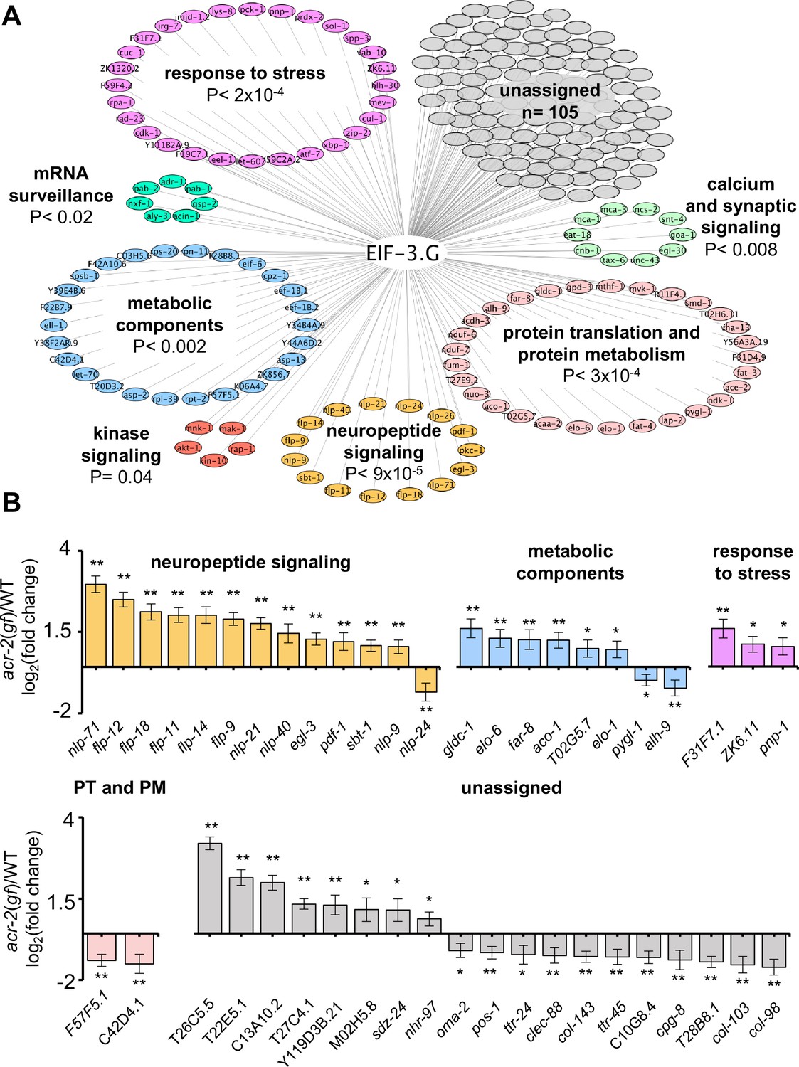 Figures And Data In Eukaryotic Initiation Factor EIF-3.G Augments MRNA ...