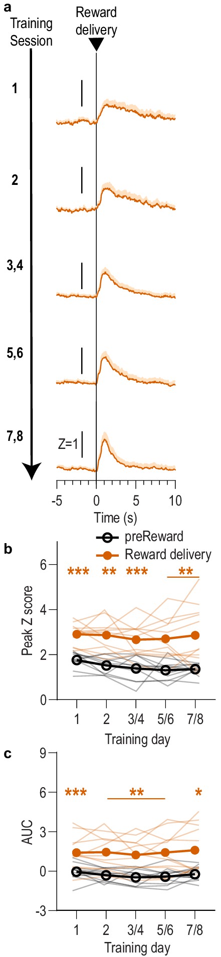 A bidirectional corticoamygdala circuit for the encoding and retrieval of  detailed reward memories | eLife