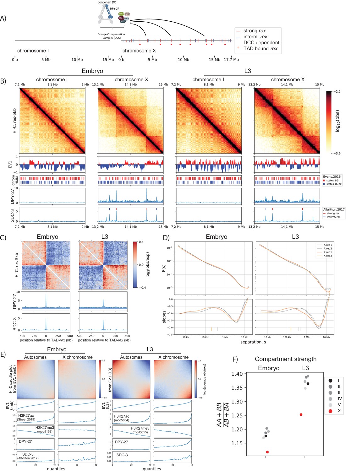 Figures and data in Condensin DC loads and spreads from recruitment ...