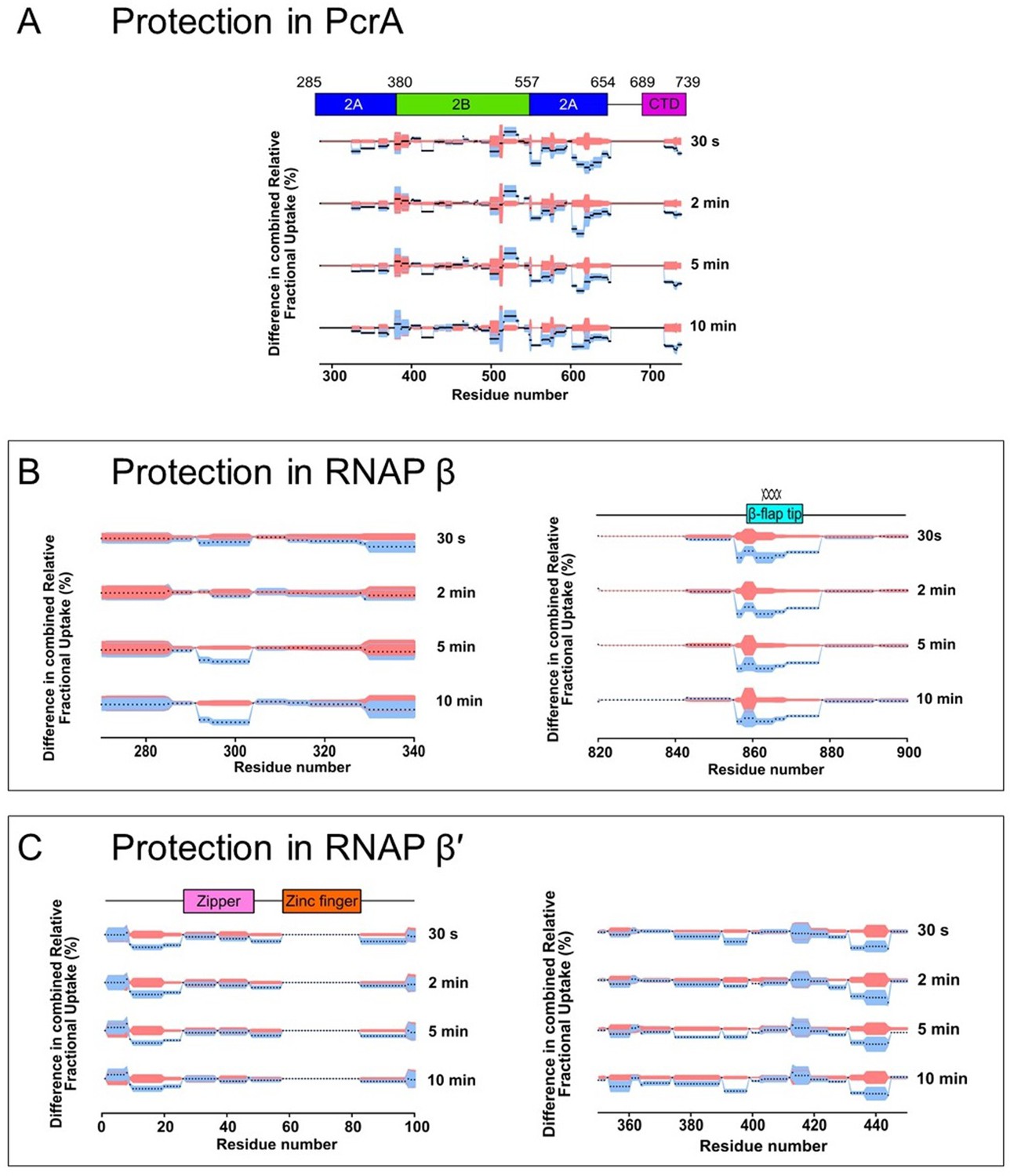 figures-and-data-in-analysis-of-the-pcra-rna-polymerase-complex-reveals