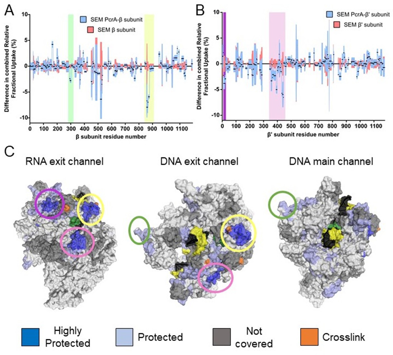 figures-and-data-in-analysis-of-the-pcra-rna-polymerase-complex-reveals