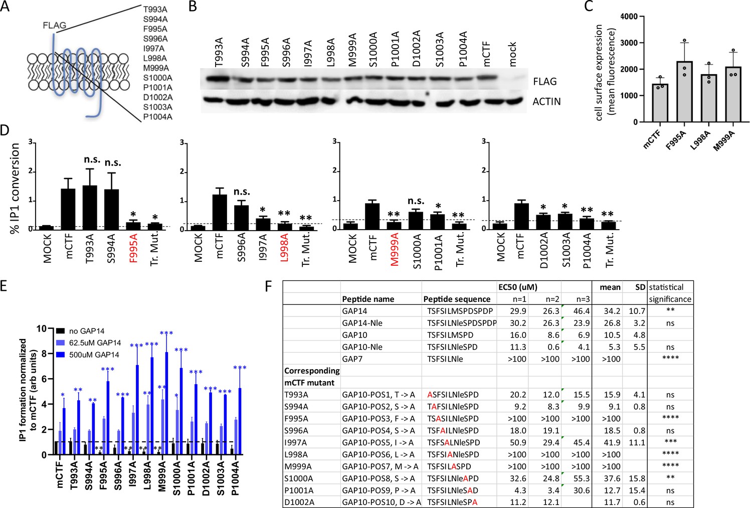 Regulation Of Pulmonary Surfactant By The Adhesion GPCR GPR116 ADGRF5