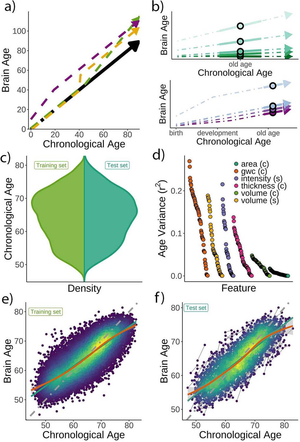 Individual Variations In ‘brain Age’ Relate To Early-life Factors More ...