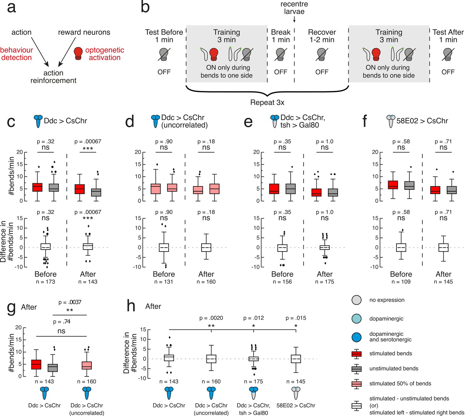 High-throughput automated methods for classical and operant ...