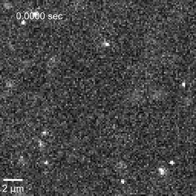 Uniformly Accelerating Charged Particles: A Threat to the