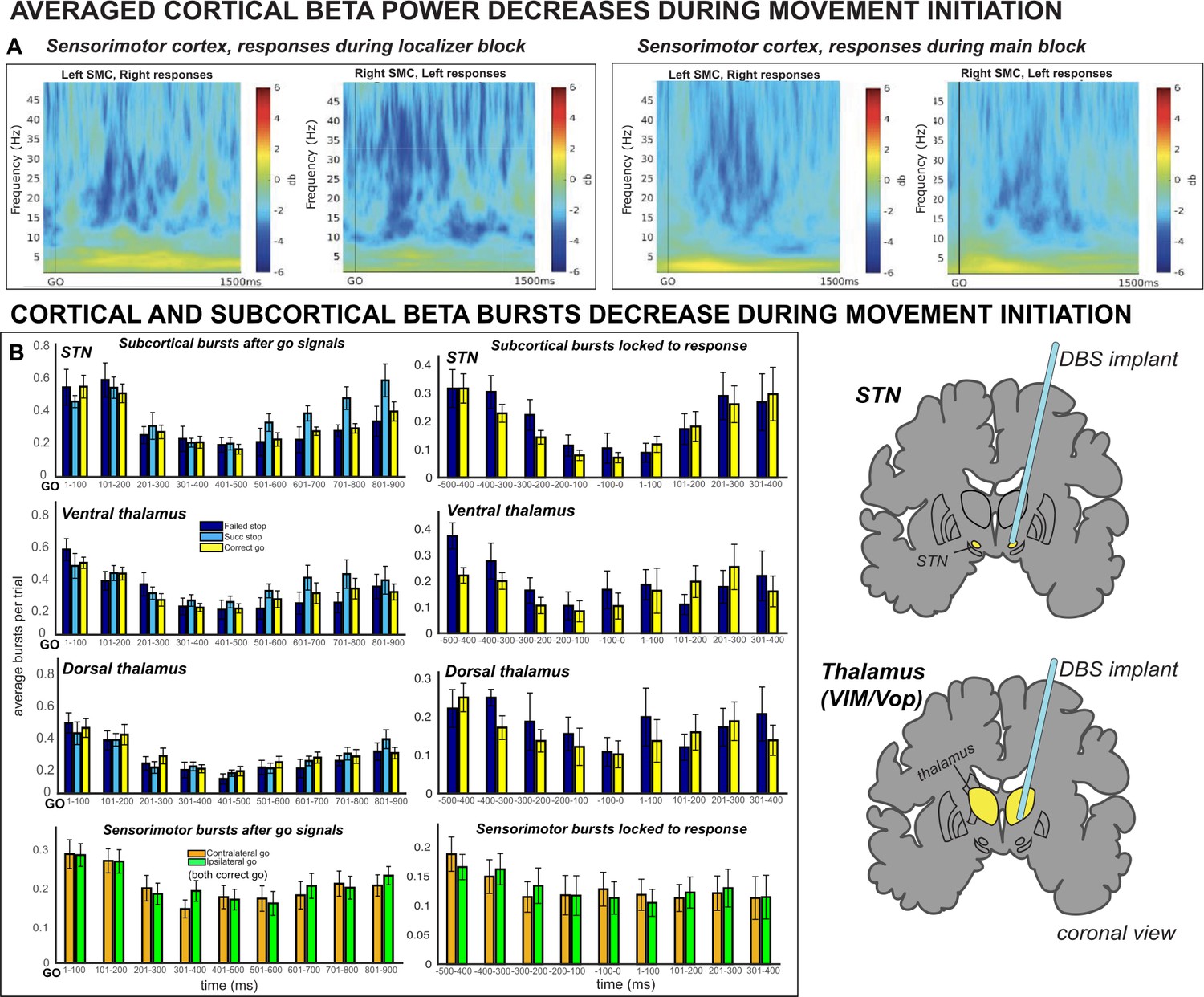 Figures And Data In Cortico Subcortical β Burst Dynamics Underlying