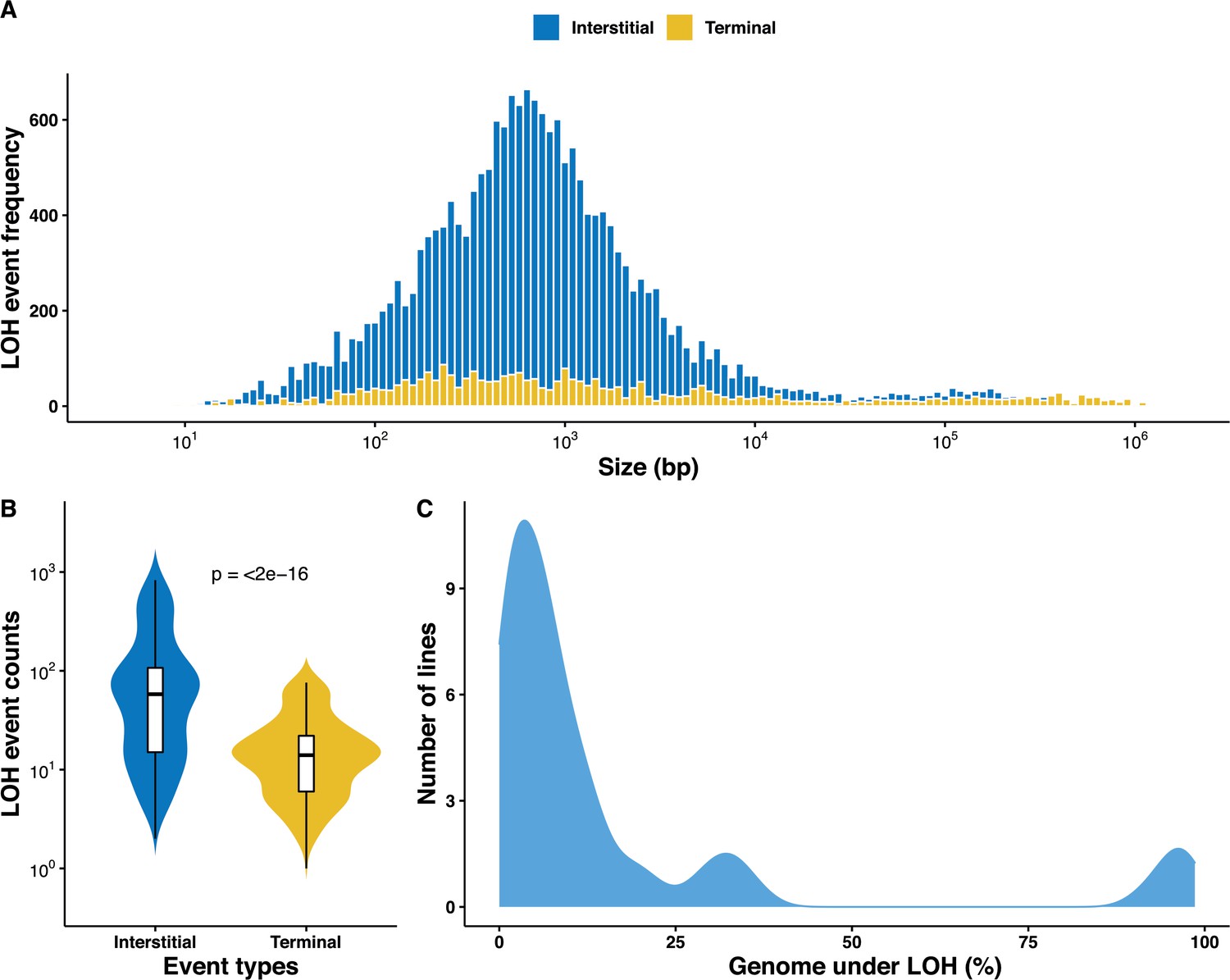 Loss Of Heterozygosity Results In Rapid But Variable Genome ...