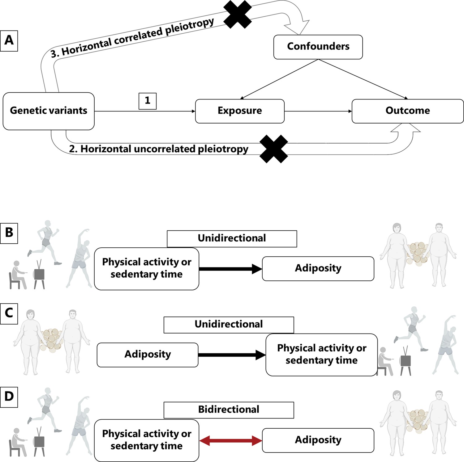 Figures And Data In Mendelian Randomization Suggests A Bidirectional ...