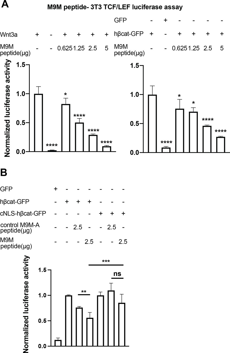 Kap-β2/Transportin Mediates β-catenin Nuclear Transport In Wnt ...